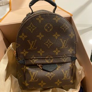 Louis Vuitton Palm Springs Mini